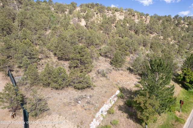 3859 Crystal Bridge Dr, Carbondale, CO 81623