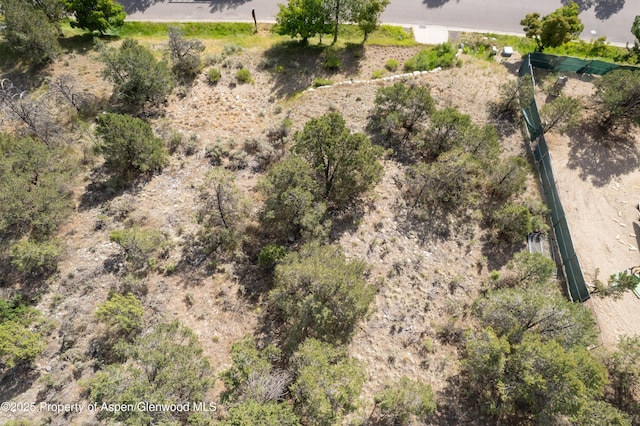 3859 Crystal Bridge Dr, Carbondale, CO 81623