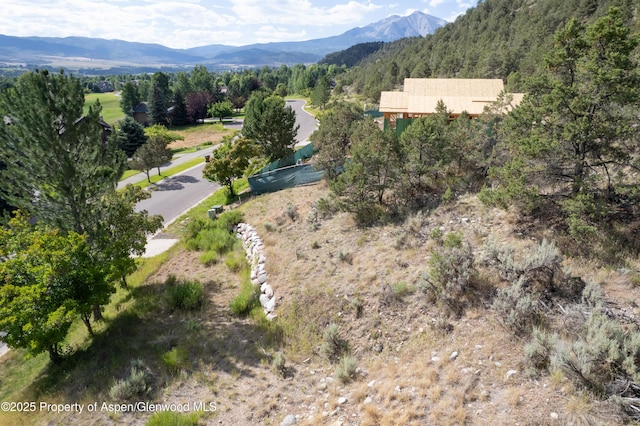 3859 Crystal Bridge Dr, Carbondale, CO 81623