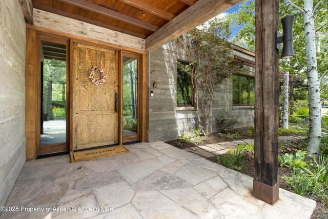 2701 County Rd 100, Carbondale, CO 81623 - view of exterior entry