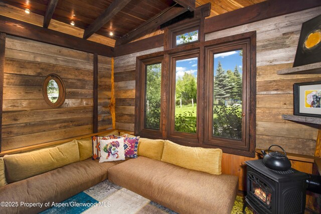 2701 County Rd 100, Carbondale, CO 81623 - living area featuring wood walls, wooden ceiling, and a wood stove