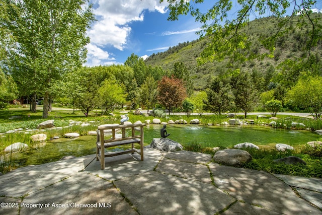 2701 County Rd 100, Carbondale, CO 81623 - view of patio / terrace featuring a mountain view