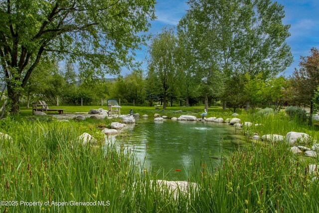 2701 County Rd 100, Carbondale, CO 81623 - water view