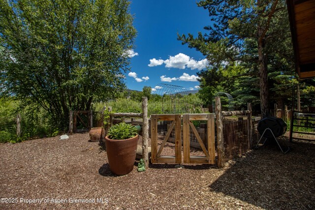 2701 County Rd 100, Carbondale, CO 81623 - view of yard featuring a gate