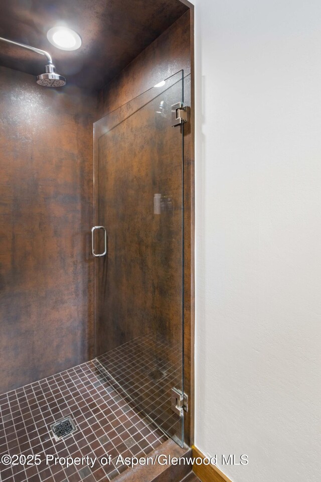 2701 County Rd 100, Carbondale, CO 81623 - full bathroom featuring a stall shower and baseboards