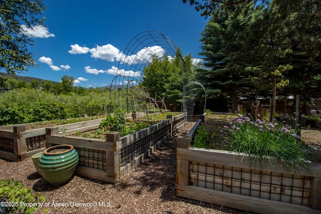2701 County Rd 100, Carbondale, CO 81623 - view of yard featuring a garden