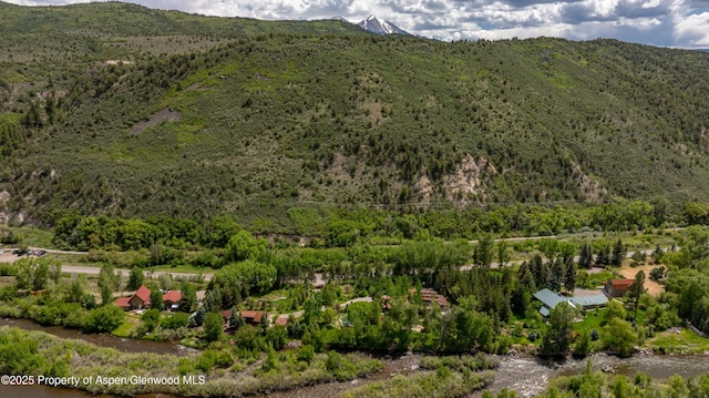 2701 County Rd 100, Carbondale, CO 81623 - view of mountain background with a heavily wooded area