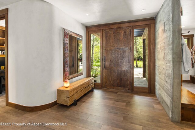 2701 County Rd 100, Carbondale, CO 81623 - foyer with wood finished floors