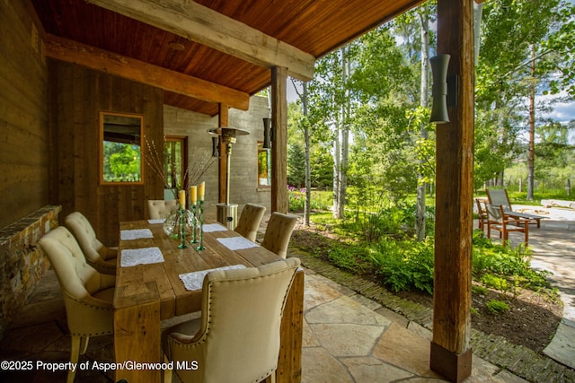 2701 County Rd 100, Carbondale, CO 81623 - view of patio / terrace with outdoor dining space