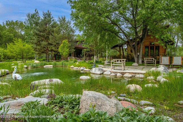 2701 County Rd 100, Carbondale, CO 81623 - view of yard