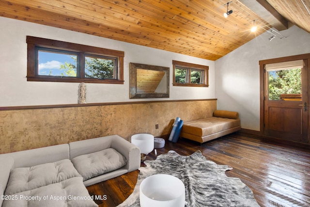 2701 County Rd 100, Carbondale, CO 81623 - living room featuring hardwood / wood-style flooring, wooden ceiling, a wainscoted wall, and track lighting