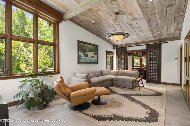 2701 County Rd 100, Carbondale, CO 81623 - living room with concrete floors, wooden ceiling, healthy amount of natural light, a barn door, and lofted ceiling