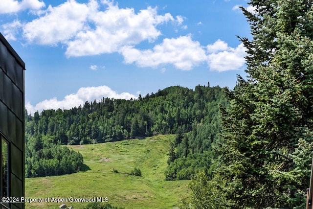205 E Durant Ave Unit 2J, Aspen, CO 81611 - view of mountain background featuring a heavily wooded area