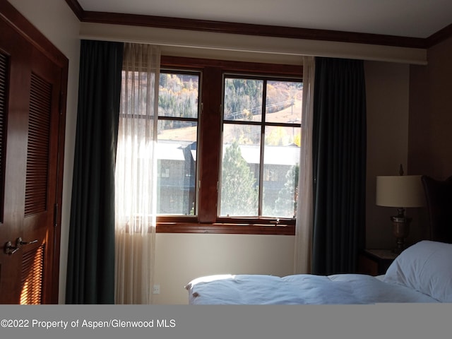 bedroom with a closet and ornamental molding