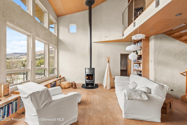 515 Park Cir, Aspen, CO 81611 - living room with a wood stove, a high ceiling, and wood finished floors