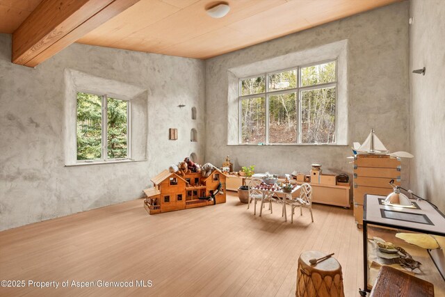 515 Park Cir, Aspen, CO 81611 - recreation room with hardwood / wood-style floors and plenty of natural light