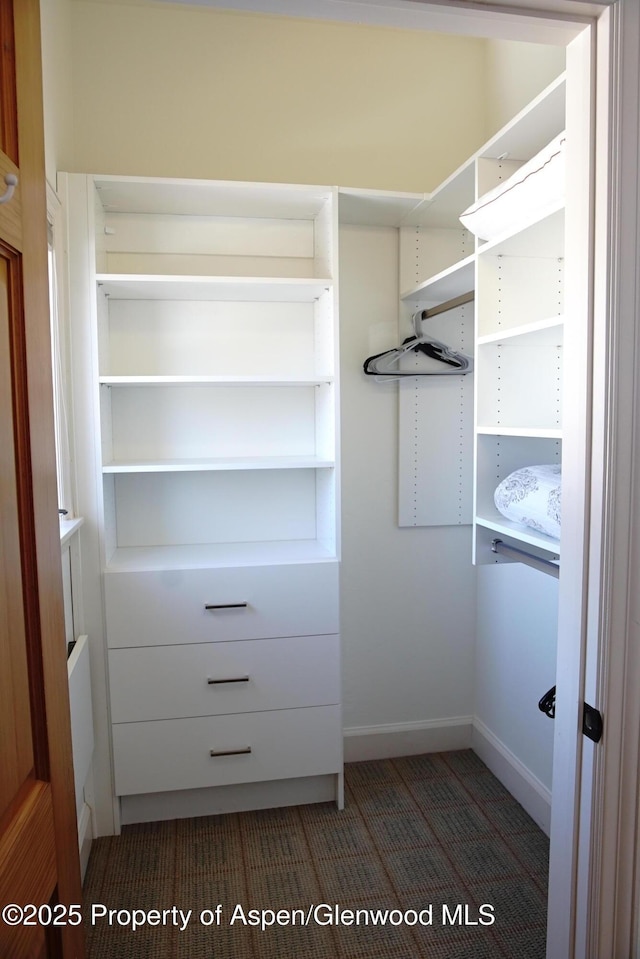 view of spacious closet