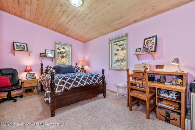 17550 W US Highway 40, Steamboat, CO 80487 - photo 20