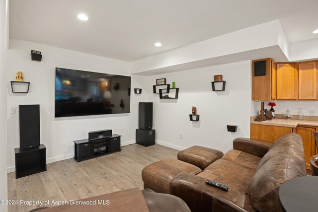 living room with light hardwood / wood-style flooring