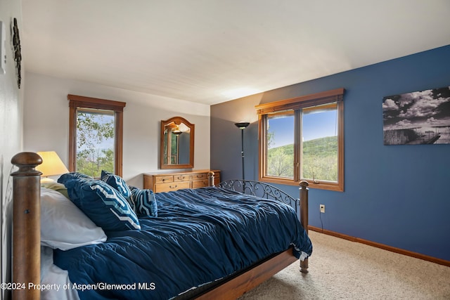 view of carpeted bedroom