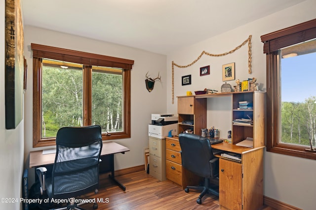 office space featuring dark wood-type flooring