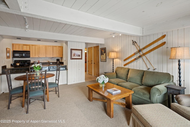 131 E Durant Ave Unit 104, Aspen, CO 81611 - living area with wooden ceiling with exposed beams, light colored carpet, wooden walls, and baseboards