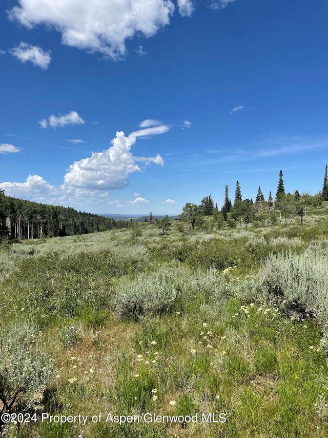 view of local wilderness featuring a rural view