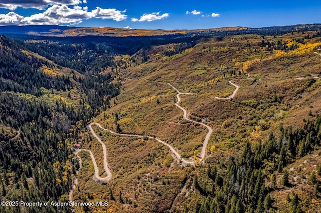 bird's eye view with a forest view and a mountain view