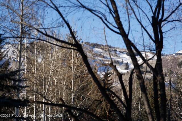 1395 Sierra Vista Dr Unit 1, Aspen, CO 81611 - photo 27