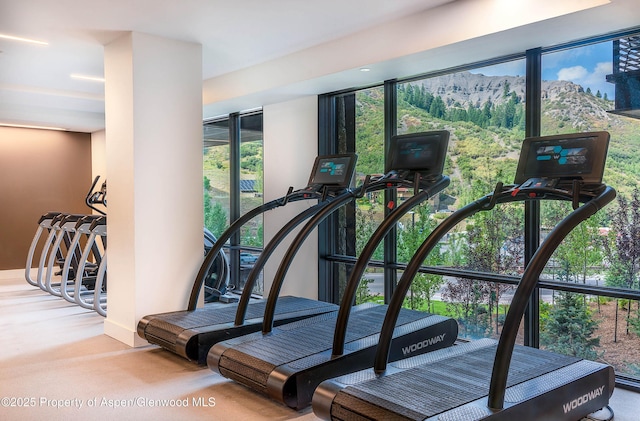 exercise room featuring a mountain view and light carpet