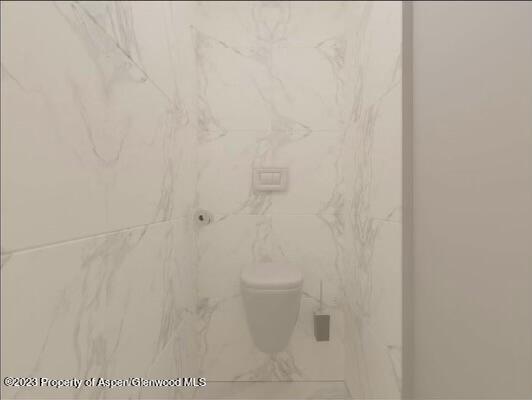 65 Upland Ln Unit 2, Carbondale, CO 81623 - bathroom with toilet