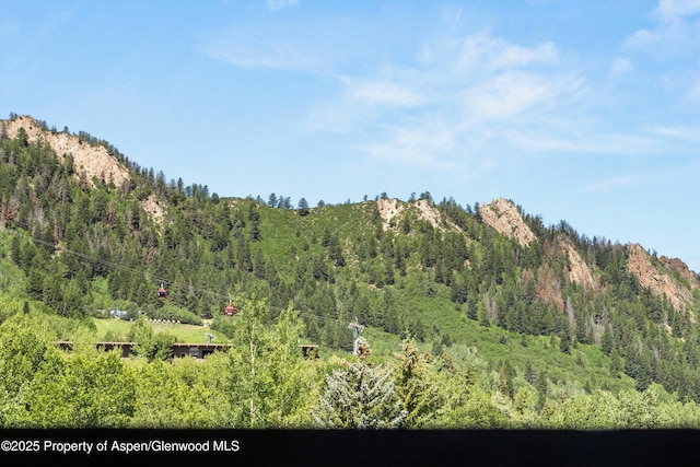 610 S W End St Unit H202, Aspen, CO 81611 - mountain view featuring a heavily wooded area
