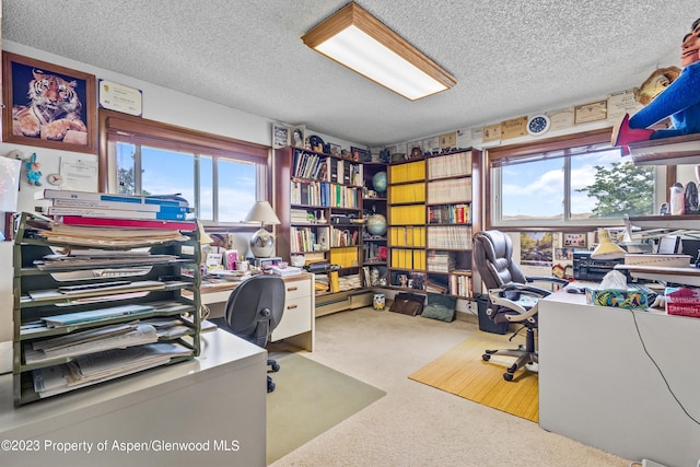 carpeted office featuring a textured ceiling