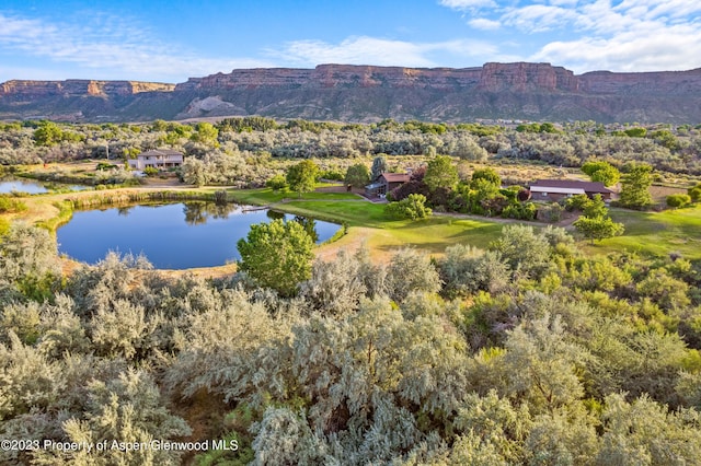 property view of mountains with a water view