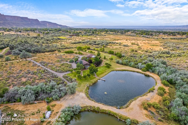 birds eye view of property featuring a water and mountain view