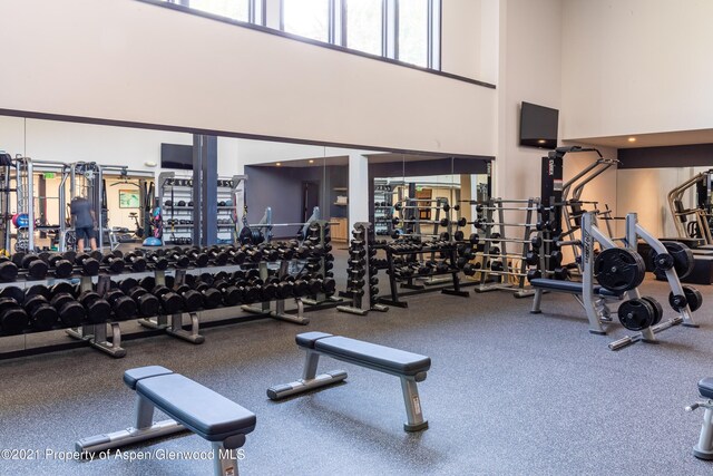 gym featuring a high ceiling