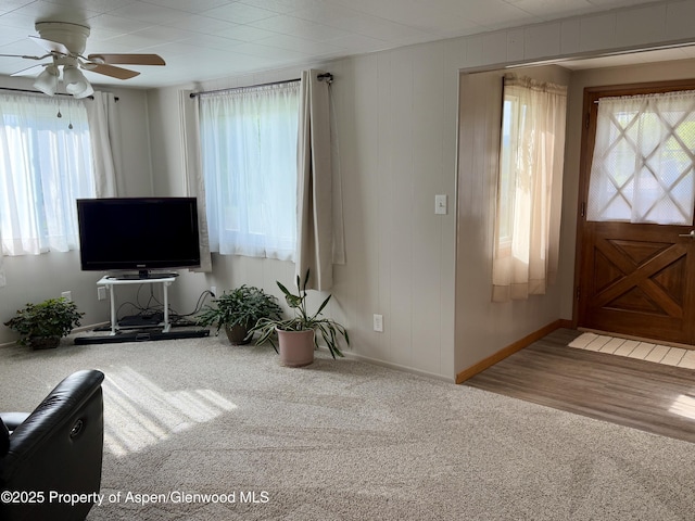 1217 Main St, Meeker, CO 81641 - carpeted foyer entrance with a ceiling fan and healthy amount of natural light