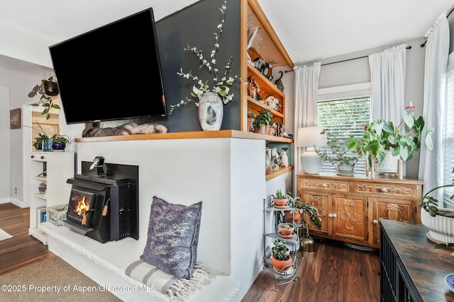 235 W 8th St, Craig, CO 81625 - detailed view of a wood stove and wood finished floors