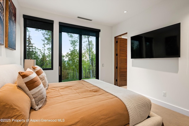 1234 Wood Rd, Snowmass Village, CO 81615 - carpeted bedroom with access to exterior and baseboards