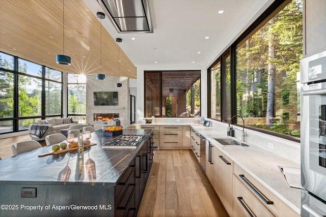 1234 Wood Rd, Snowmass Village, CO 81615 - kitchen with a sink, modern cabinets, appliances with stainless steel finishes, light wood-type flooring, and a fireplace