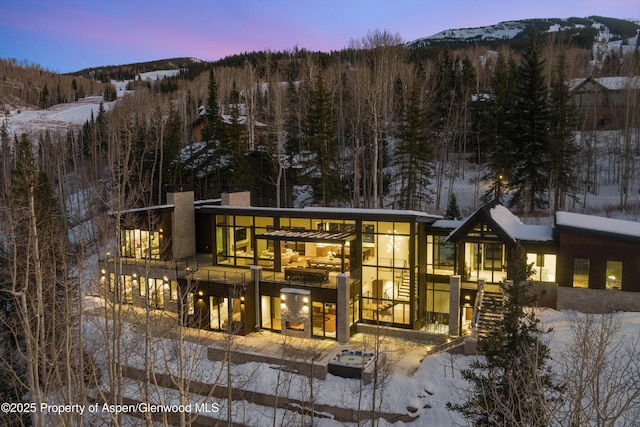 1234 Wood Rd, Snowmass Village, CO 81615 - snow covered rear of property with a mountain view and a view of trees