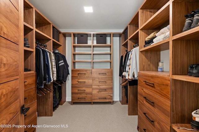 1234 Wood Rd, Snowmass Village, CO 81615 - spacious closet with carpet