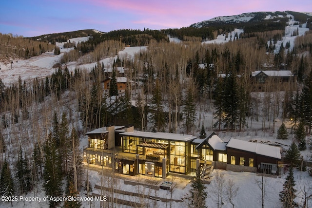 1234 Wood Rd, Snowmass Village, CO 81615 - snowy aerial view with a mountain view and a forest view