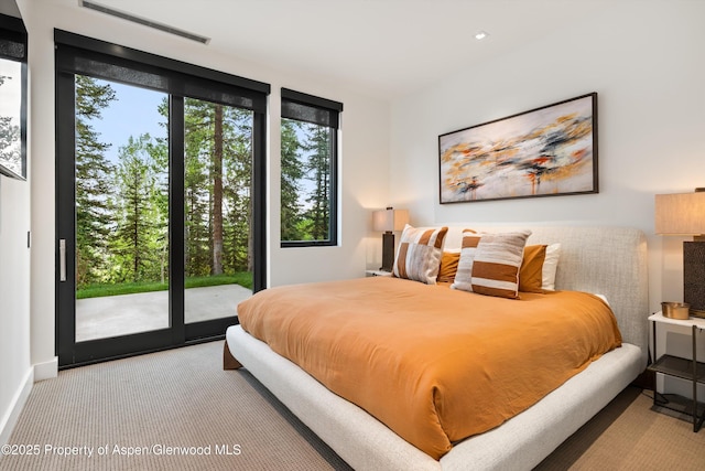 1234 Wood Rd, Snowmass Village, CO 81615 - bedroom featuring access to outside