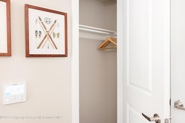 253 Wulfsohn Rd Unit 332, Glenwood Springs, CO 81601 - view of closet