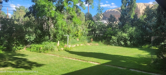 888 Pershing St, Craig, CO 81625 - view of grassy yard featuring a mountain view