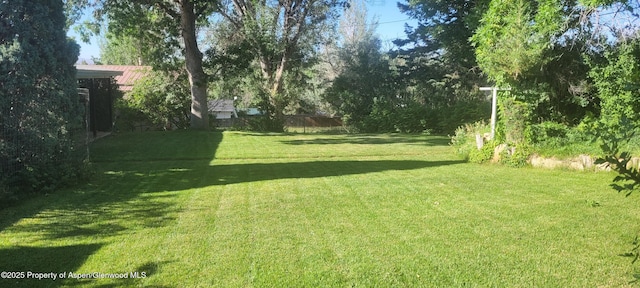 888 Pershing St, Craig, CO 81625 - view of yard
