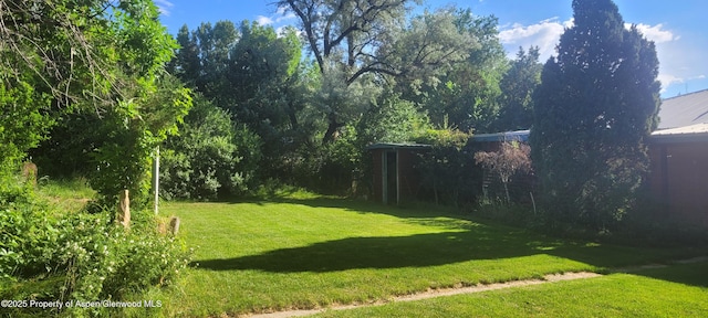 888 Pershing St, Craig, CO 81625 - view of green lawn