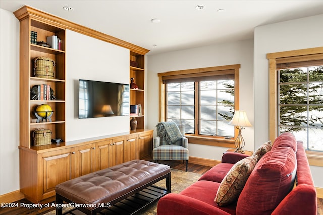 living room featuring hardwood / wood-style flooring and built in shelves