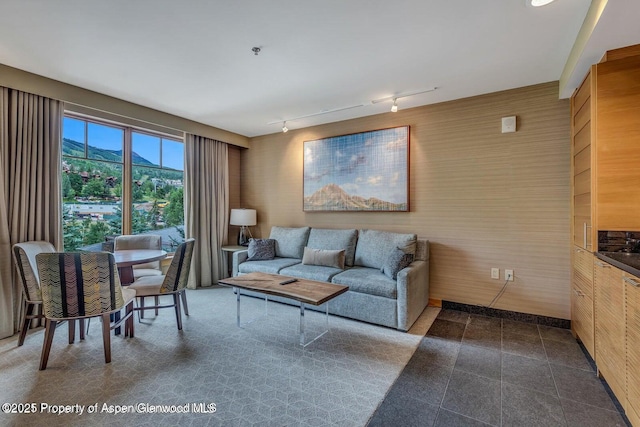 130 Wood Rd Unit 625, Snowmass Village, CO 81615 - living area featuring track lighting